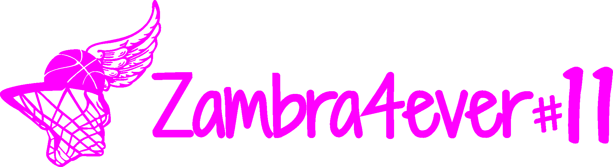 … un canestro per la vita …